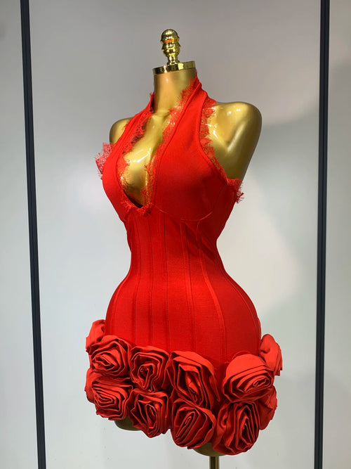 Applique Bodycon Mini Bandage Dress