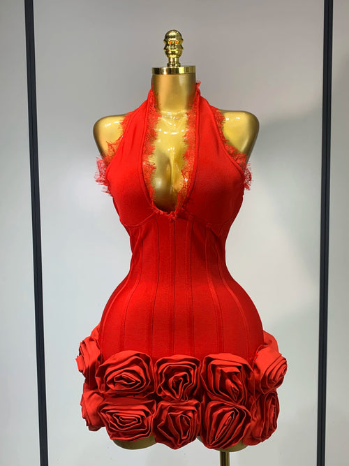 Applique Bodycon Mini Bandage Dress